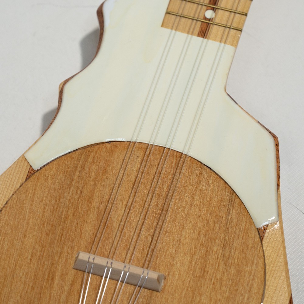 Tahitian Ukulele Banjo 8-String + Bag - Great Condition!