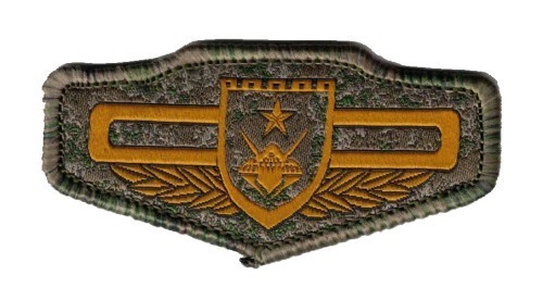 Chinese type 21 Cyber Forces breast patch