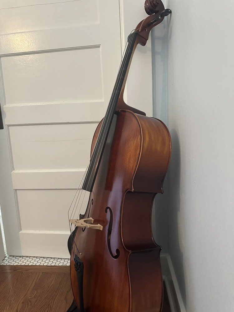 Cello 4/4 Florence IV, with Bow, Case, And Strap (C String Loose)