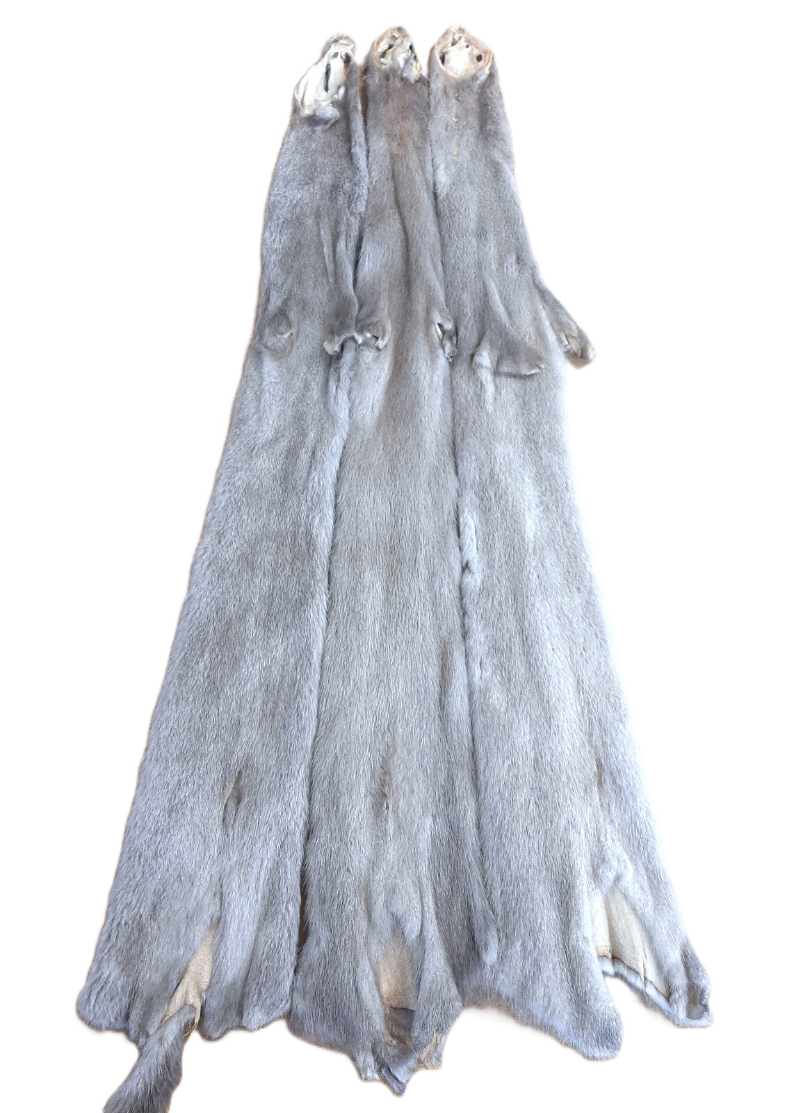 Ranched Mink Pelt, Silver Blue, GORGEOUS