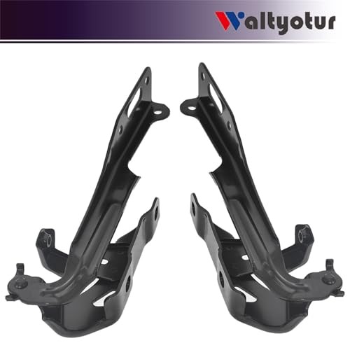 Left Driver and Right Passenger Side Hood Hinge Set Replacement for 2016-2019