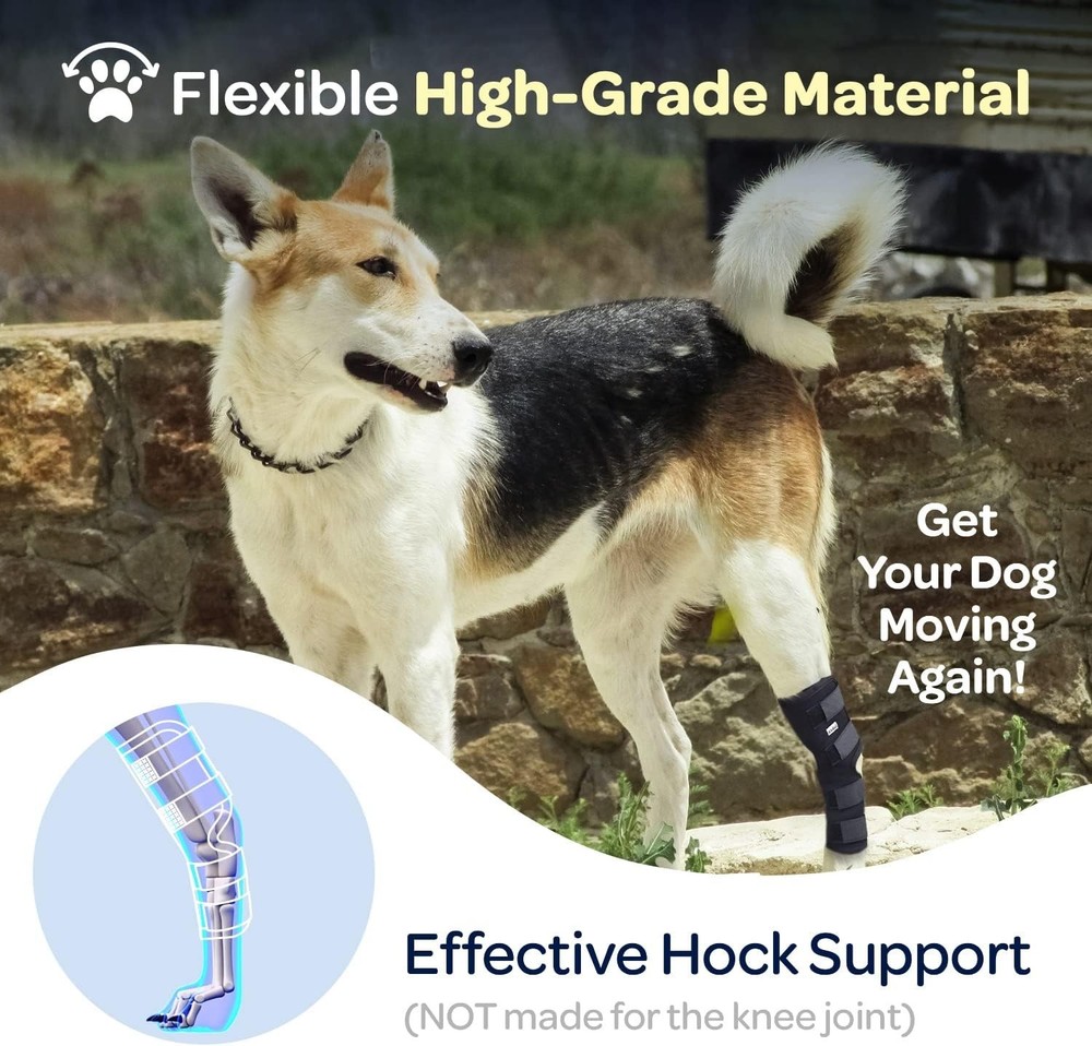Adjustable Dog Rear Leg Hock Joint Compression Wrap for Senior Canines - Medium