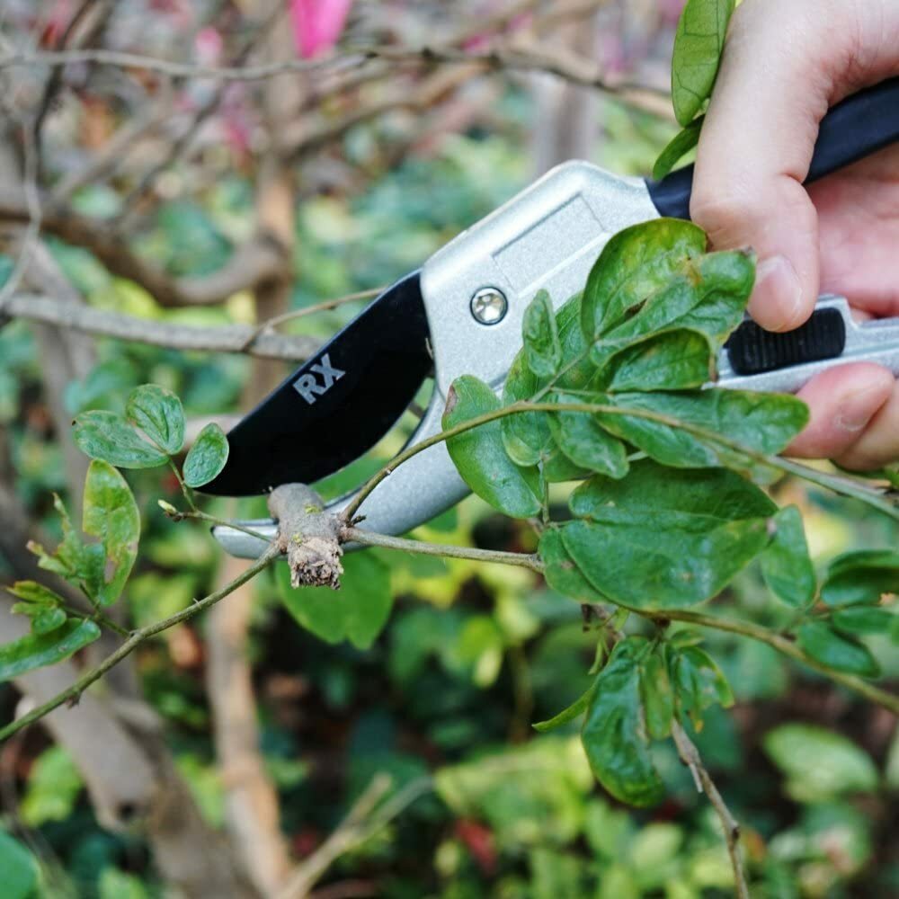 Professional SK-5 Steel Pruning Shears Anvil Hand Pruners, Garden Clippers