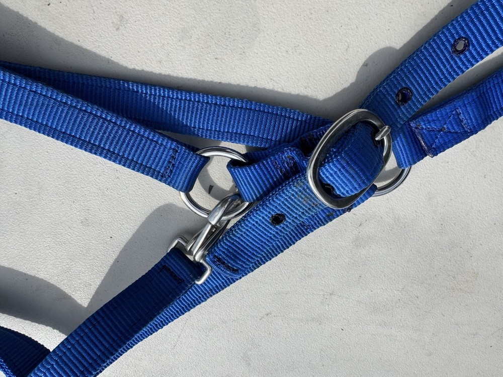 Nylon Horse Halter - Blue - Large