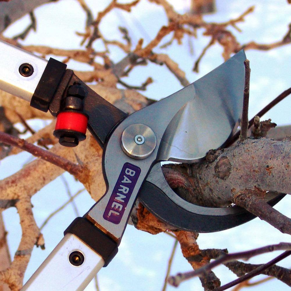 32 In. Professional Orchard By-Pass Lopper