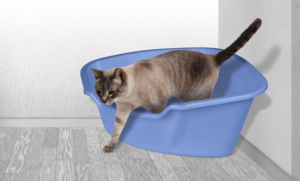 Van Ness High Sided Pan, Corner Cat Litter Box, Durable Plastic Construction