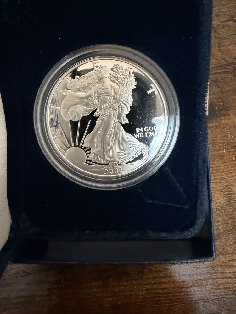 2002 Silver Eagle Proofs 2 Coins 1 Price