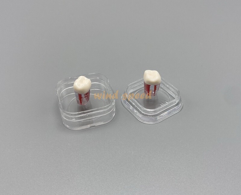 20pcs Denture Hinged Display Box Storage Crown Jewelry Chip Boxes Membrane Case