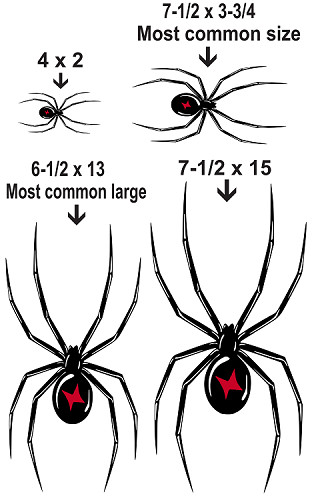 BLACK WIDOW SPIDER ~ DECAL / STICKER ~ 4 COLORS & 6 SIZES
