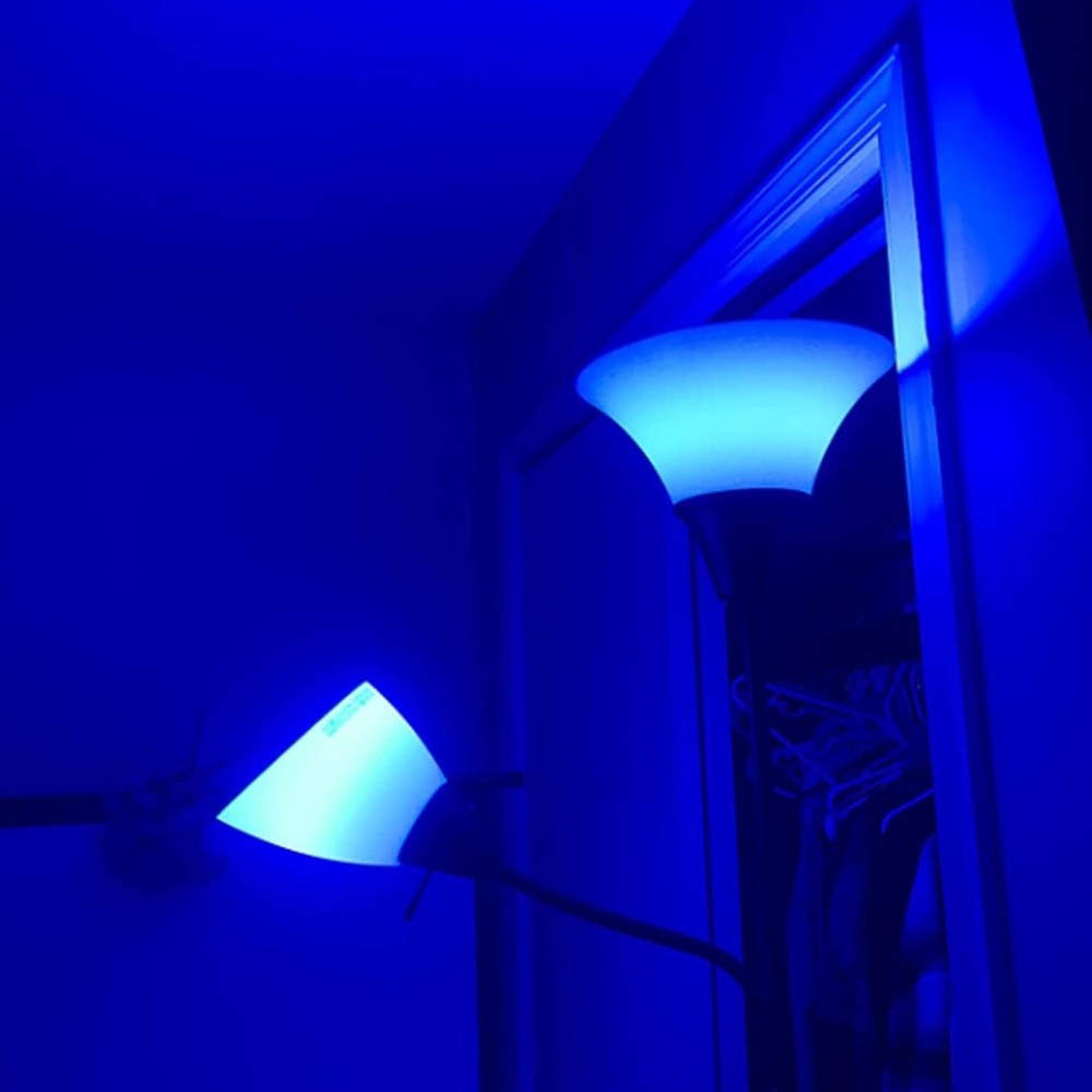 Blue Light Colored A19 LED Light Bulb 60W Equivalent (7W) E26 Base Waterproof