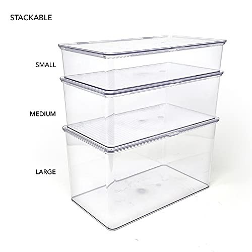 Stackable Clear Organizer Bin with Hinged Lid - 10.75"x6.5"x2.4" Storage Box for