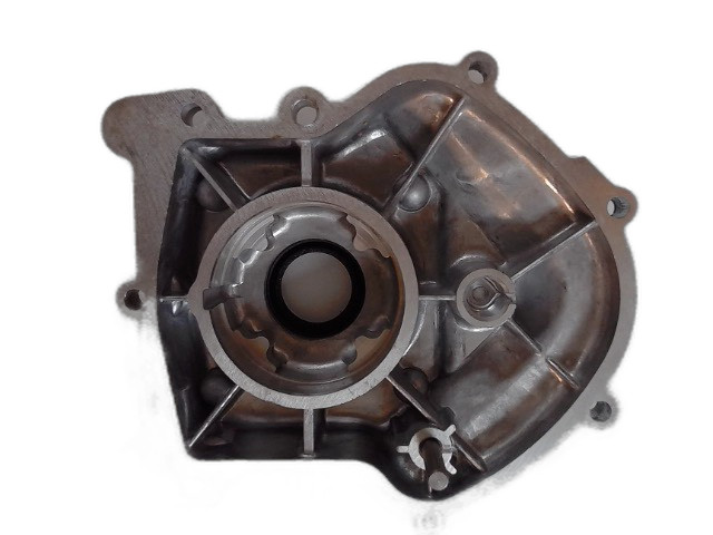Briggs & Stratton 394309 Cover