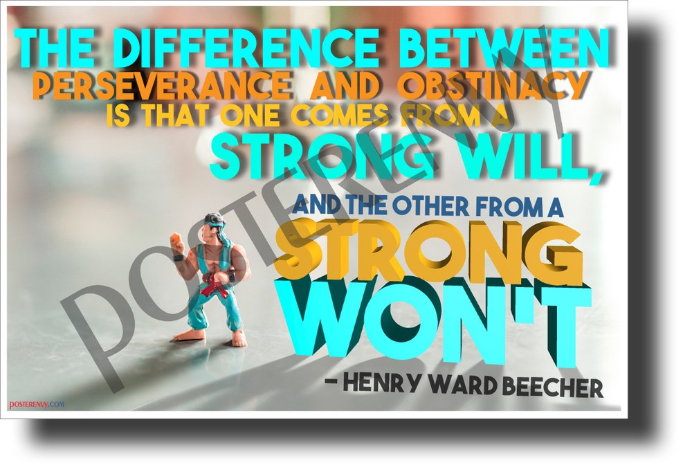 The Difference Between Perseverance and Obstinacy - NEW Motivational POSTER