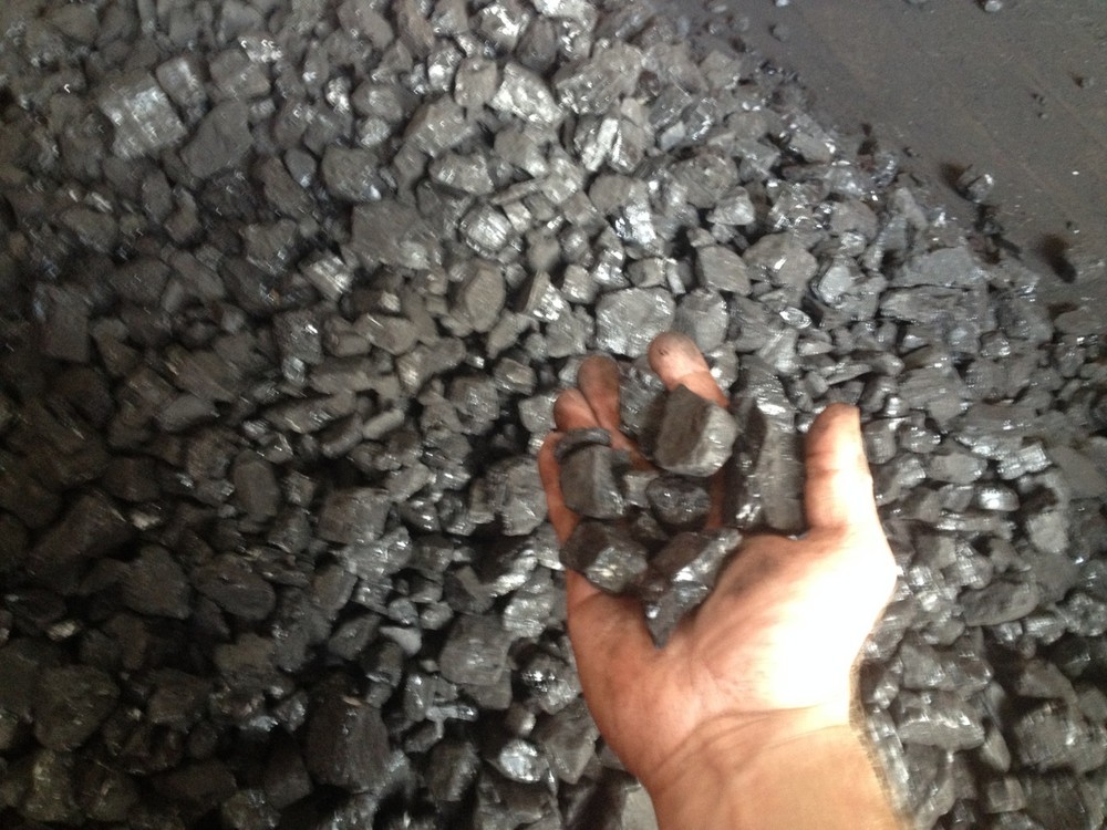 Forge Coal 25lbs