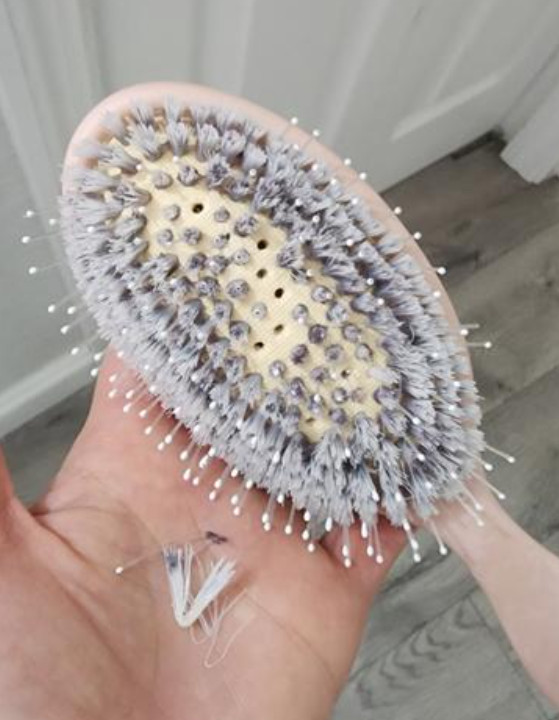 NIB 100%Authentic dae Vegan Detangle + Style Brush