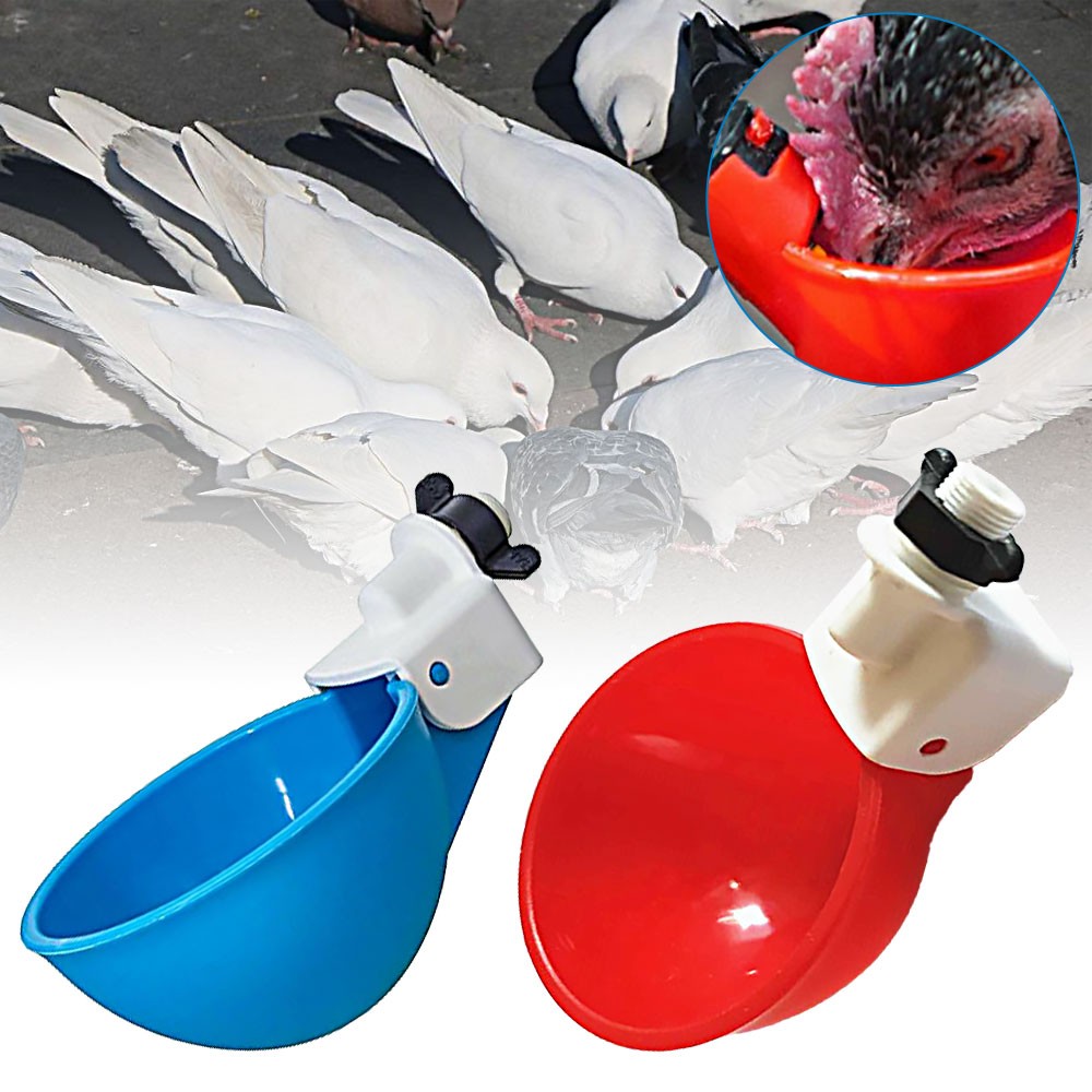 Automatic Water Cups Poultry Drinker Waterer Chicken Duck Quail Drinking CW