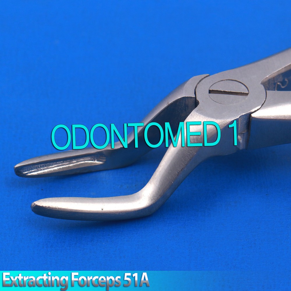 Tooth Extracting Forceps Mead No.51A Upper roots Dental Instruments