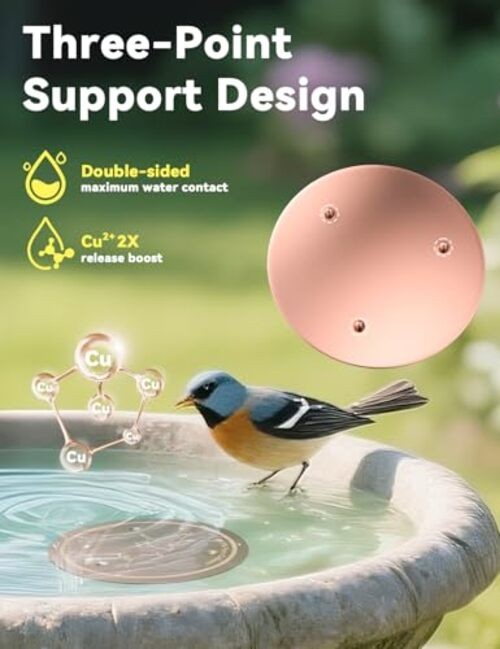 Copper Disk for Bird Baths, Bird Baths 99.99% Pure Copper Cleaning Disk, 1 Pcs