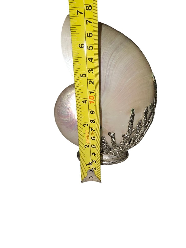 Decorative Silver Encased Chambered Nautilus sea shell