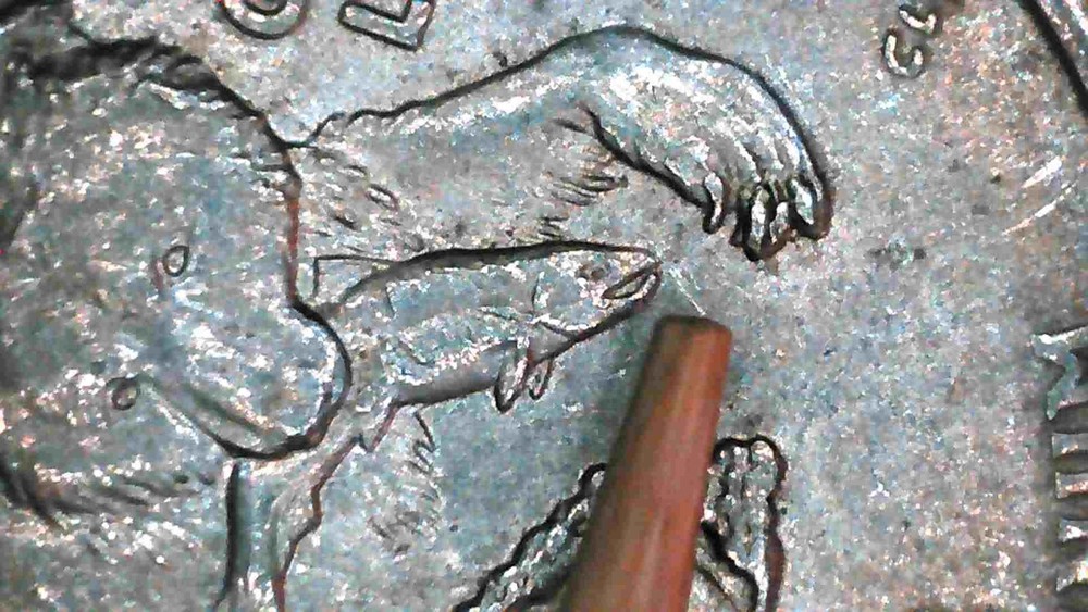 2008-P Alaska State Quarter Claw Die Chip Error MULTIPLE ERRORS Drool Error