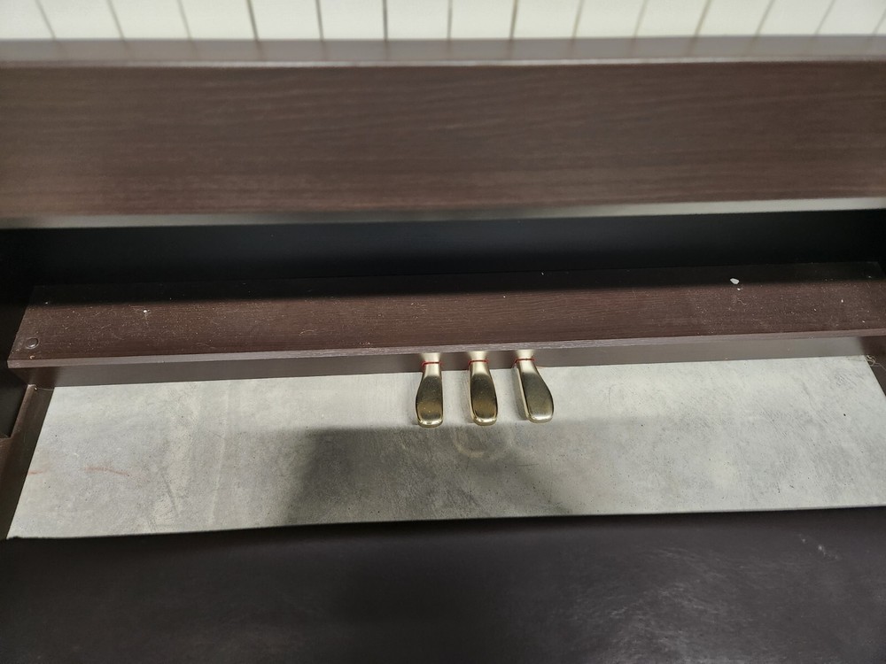 Casio Celviano Ap-250