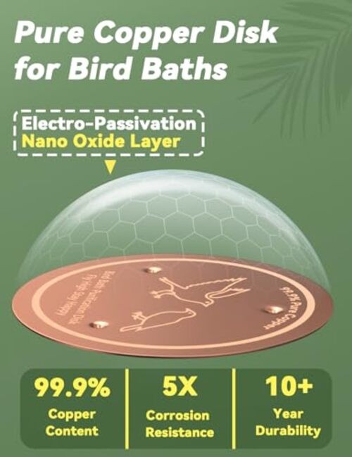 Copper Disk for Bird Baths, Bird Baths 99.99% Pure Copper Cleaning Disk, 1 Pcs