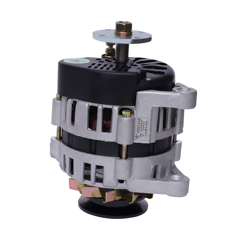 2000W Permanent Magnet Synchronous Generator DC 24V Dual Wheel Generator Copper
