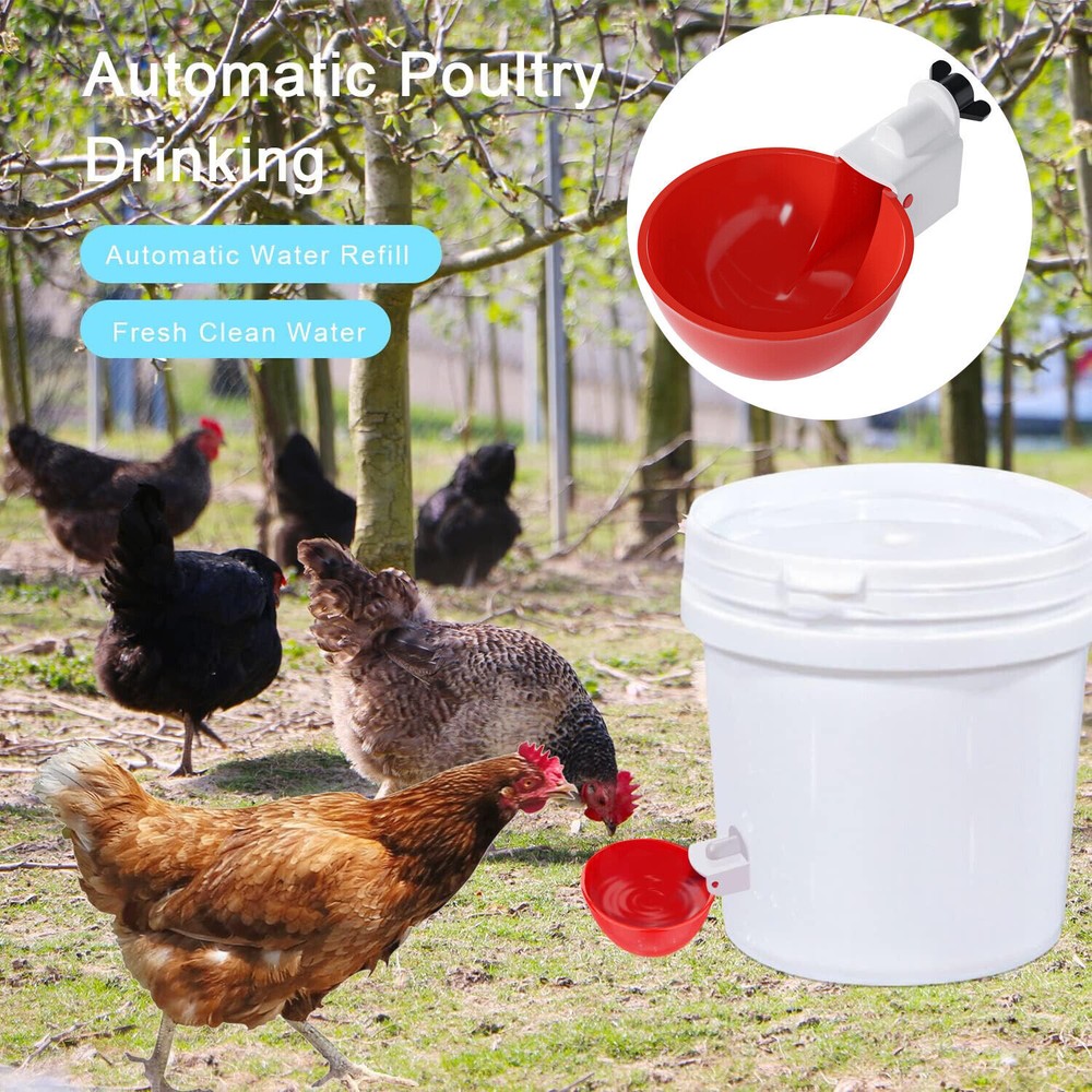 8 PCS Automatic Water Cups Poultry Drinker Waterer Chicken Duck Quail Drinking