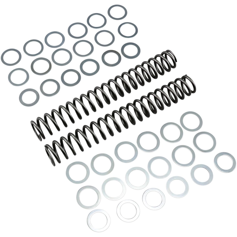 Race Tech Fork Spring 1.0kg FRSP S3827100