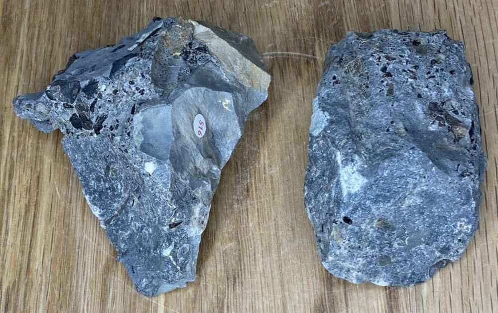 Fossil Specimens, Set of 2 Rhaetic Bone Bed Sections, Suffolk, 86mm
