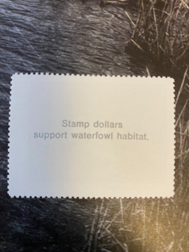 1993 Nebraska State Duck Stamp