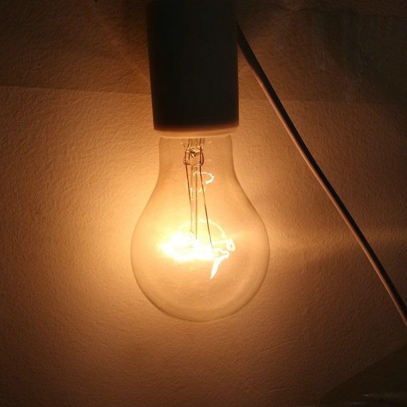 100 Watt Incandescent Light Bulbs, A19 Clear Incandescent Rough Service Light 4