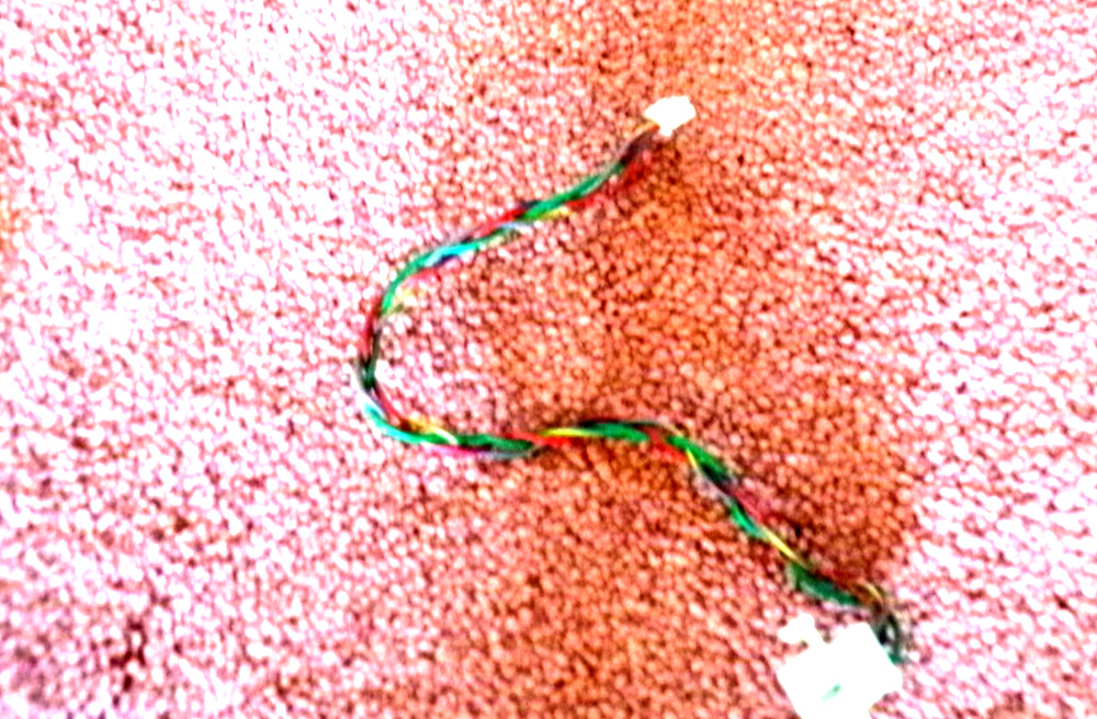 1 IGT Slot Machine Coin Comparitor Acceptor Cable