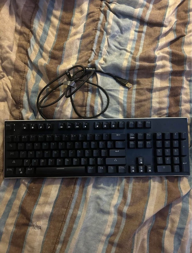 Gaming Keyboard (Clicky Keys)