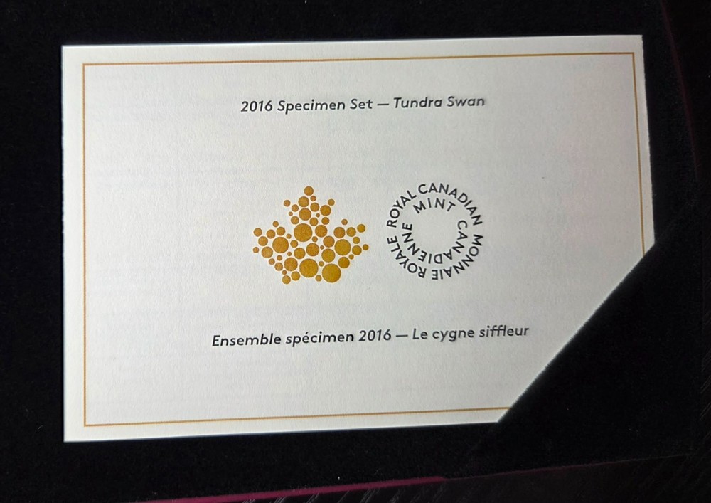 2016 Specimen set - Tundra Swan