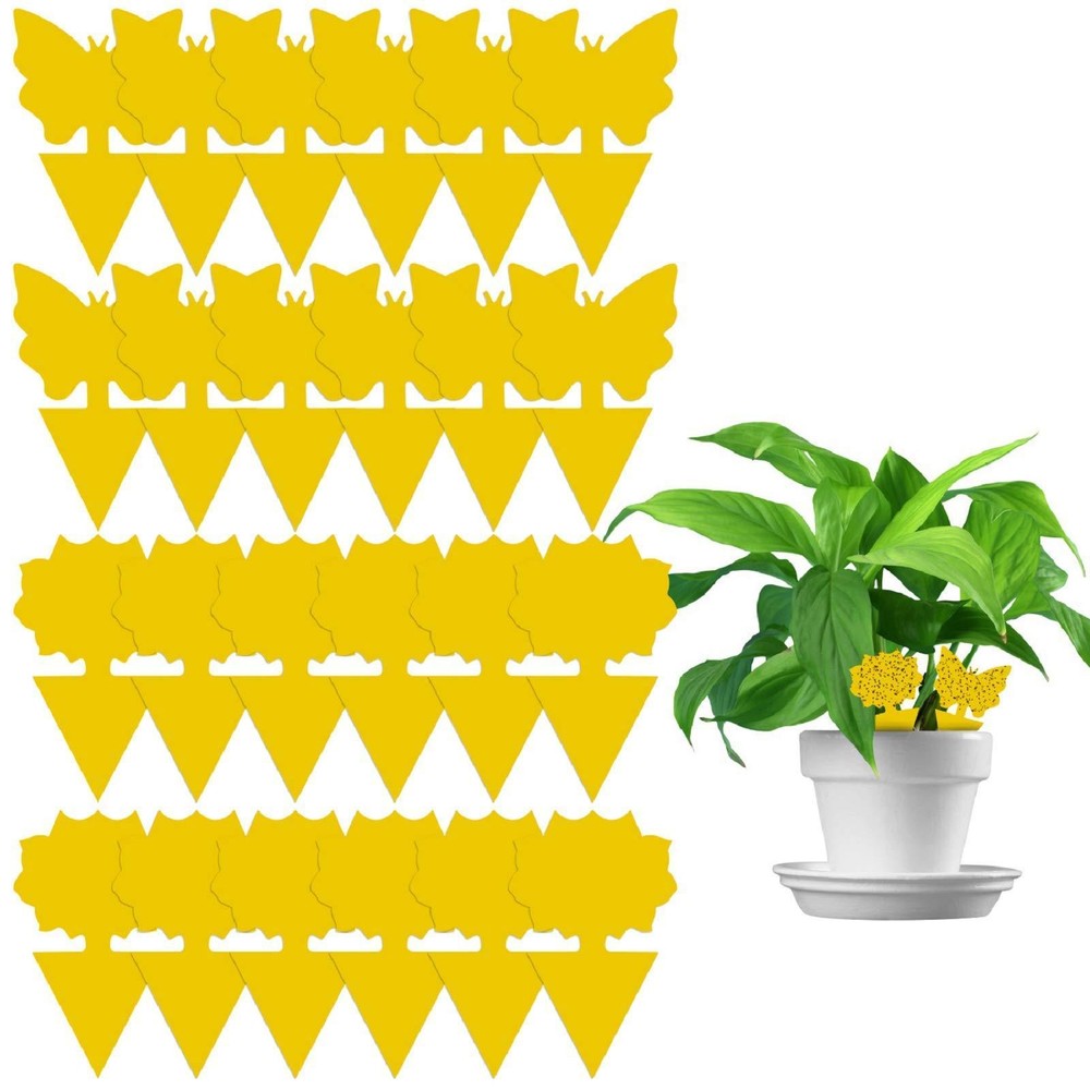 50 Double-Sided Sticky Insect Boards