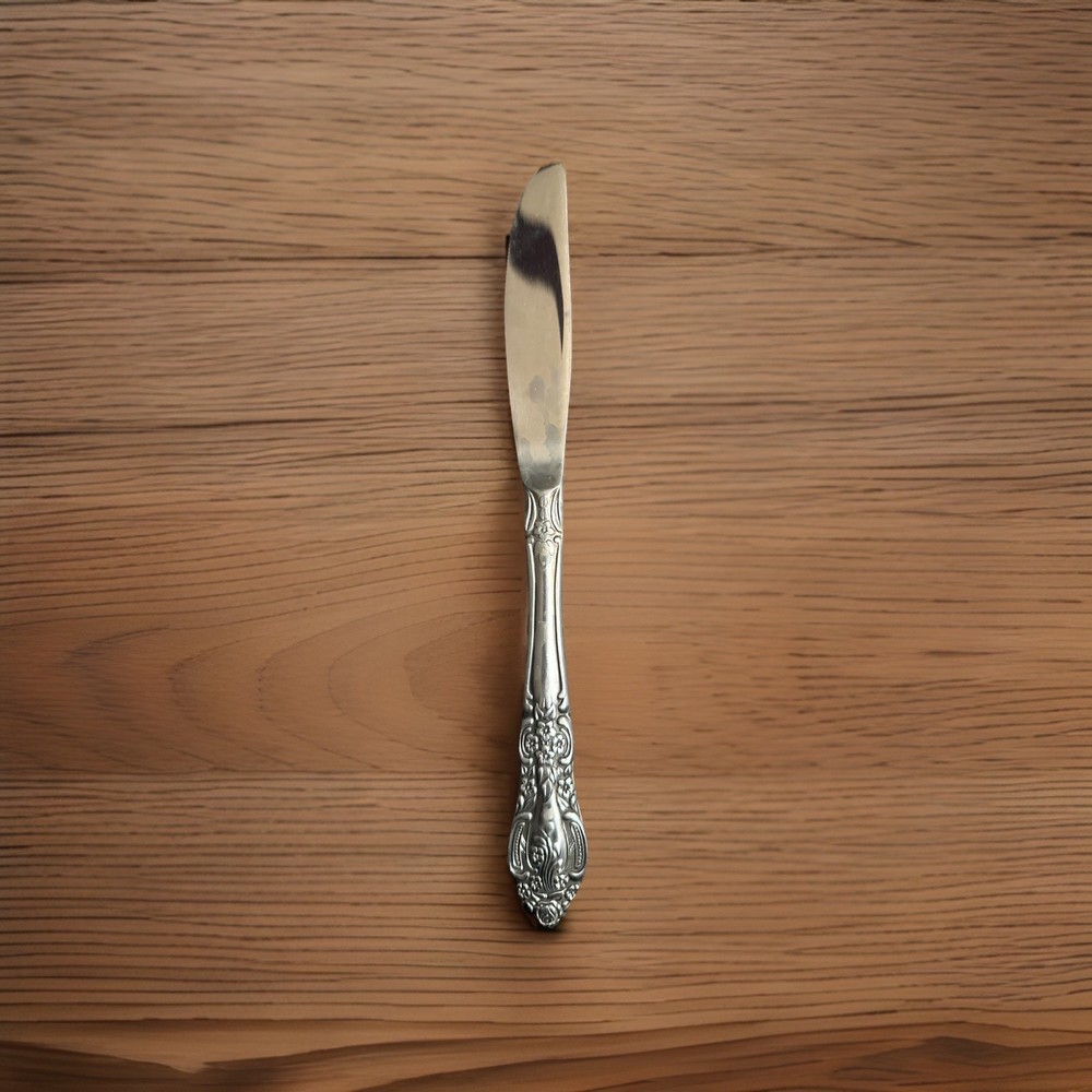 Oneida Stainless Flatware - Dinner Knife USA