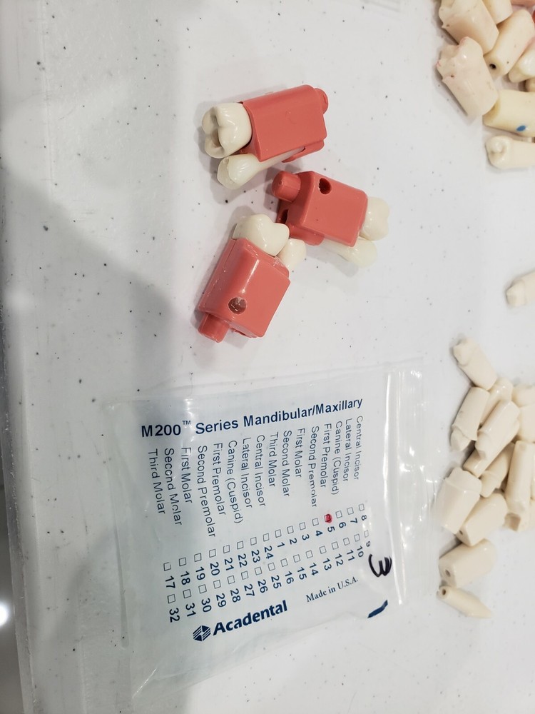 Modupro Replacement Modules - Endo Extracted Tooth Substitute- Acadental 67 pcs