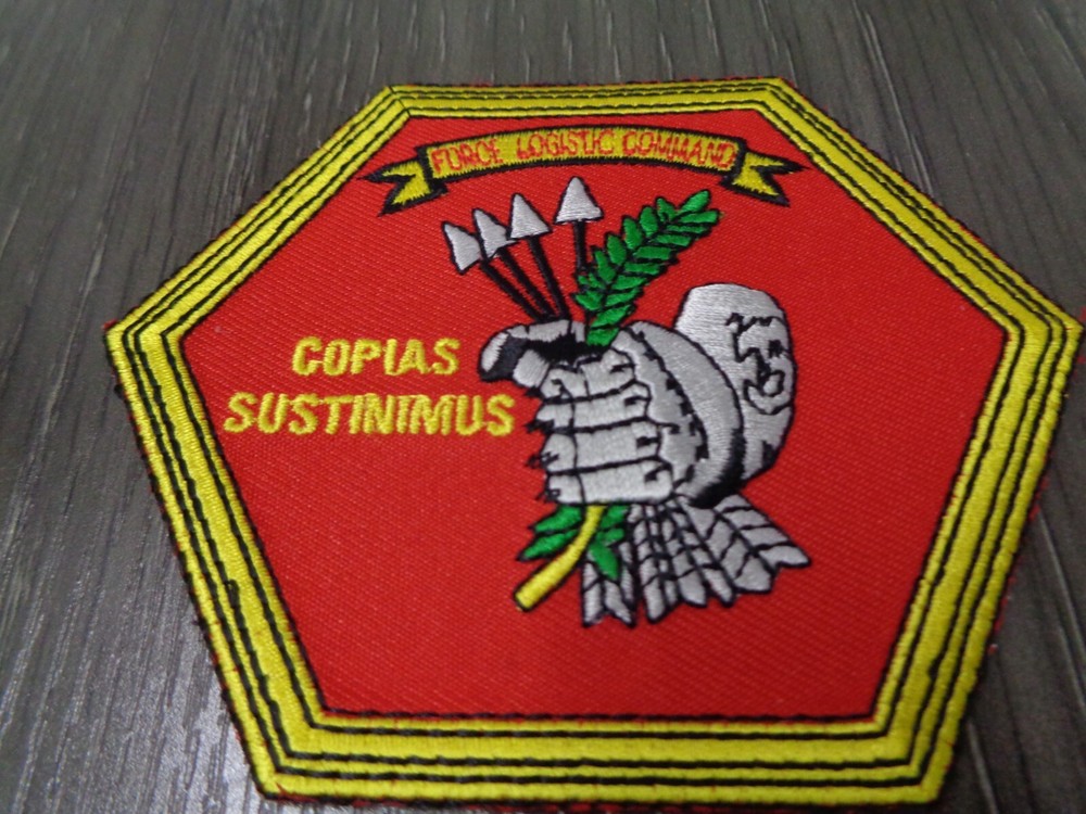 US MARINES MC Force Logistic Command MARINE COLOR PATCH NEW  LARGE 4 INCH