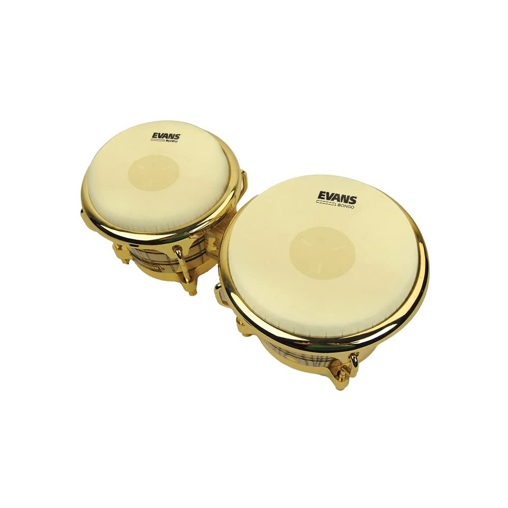 Evans Tri-Center Bongo Head, 8-5/8 Inch