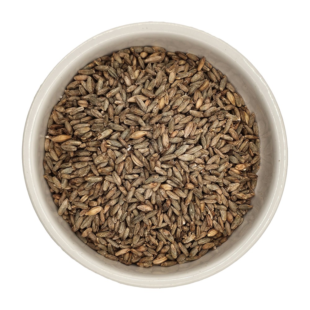 Home Brew Ohio Rye Grain 5lb