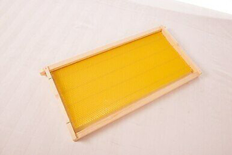 20 Bee Foundation Deep Bee Hive Wax Foundation Bee Hive Frames with Wire