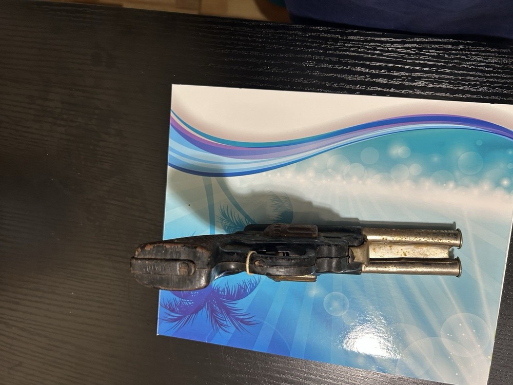 Double barrel working dart gun