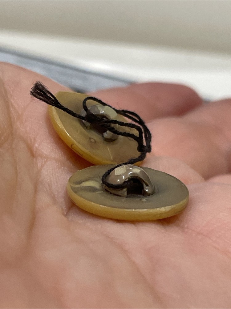 2 Vintage Celluloid Plastic Leaf Buttons 3/4”