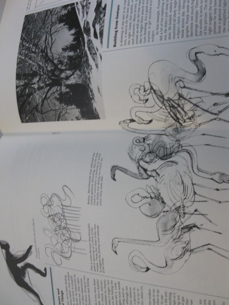 North Light Art School Lesson 1 Observation and Drawing
