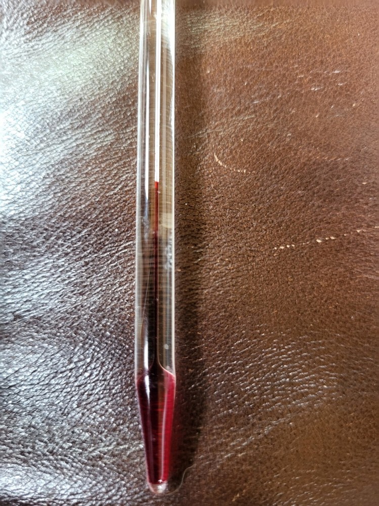 Vintage Chaney Mfg Co Roast Meat Thermometer