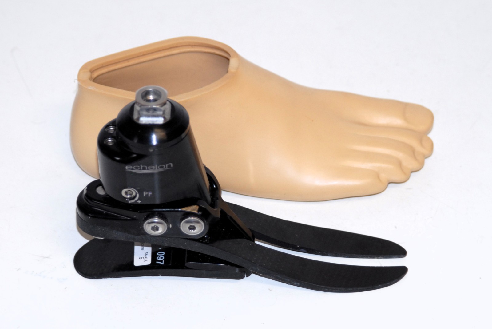 Blatchford Endolite Echelon foot size S 22 right prosthetic leg very good cond.