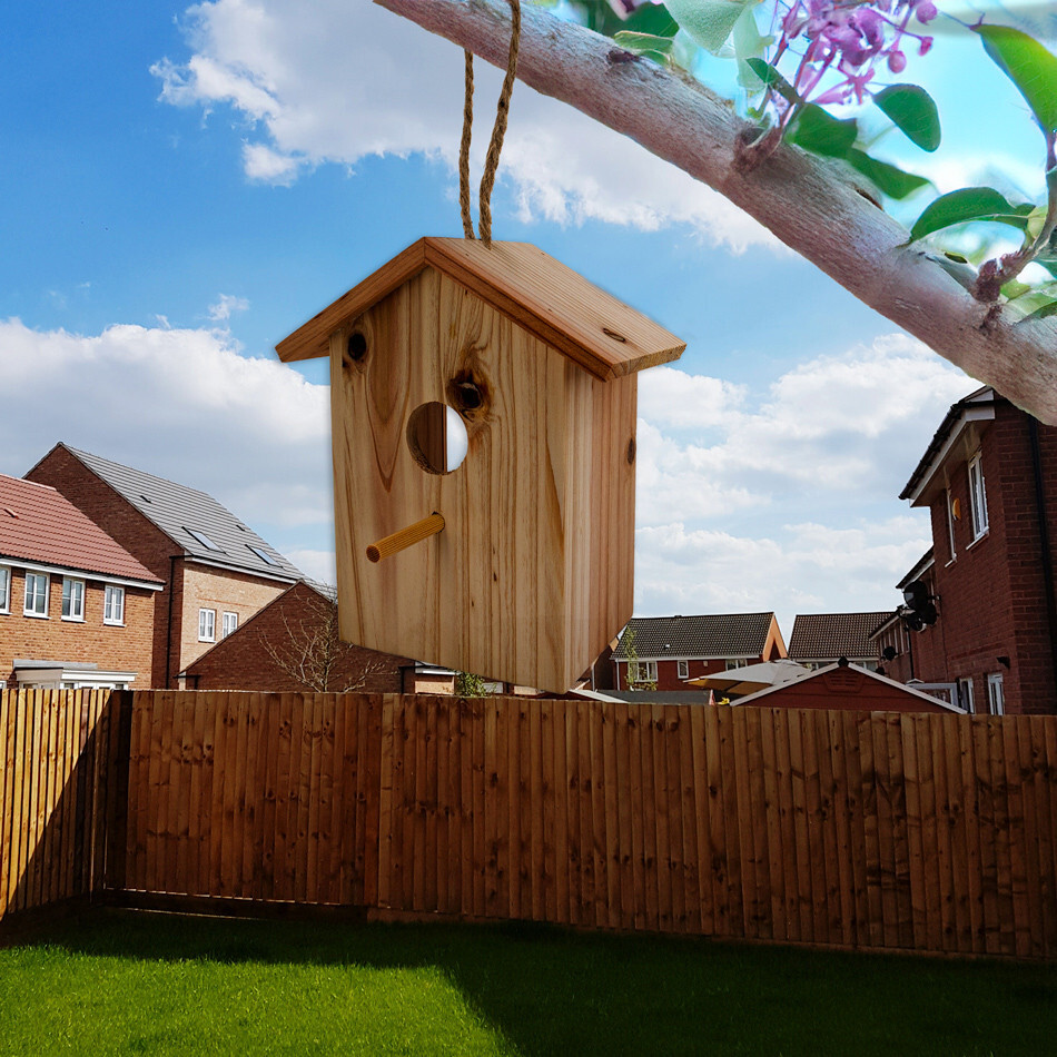 Wood Birdhouse See Through Window , Suction Cups, Lanyard Rope, Bird Nesting Box