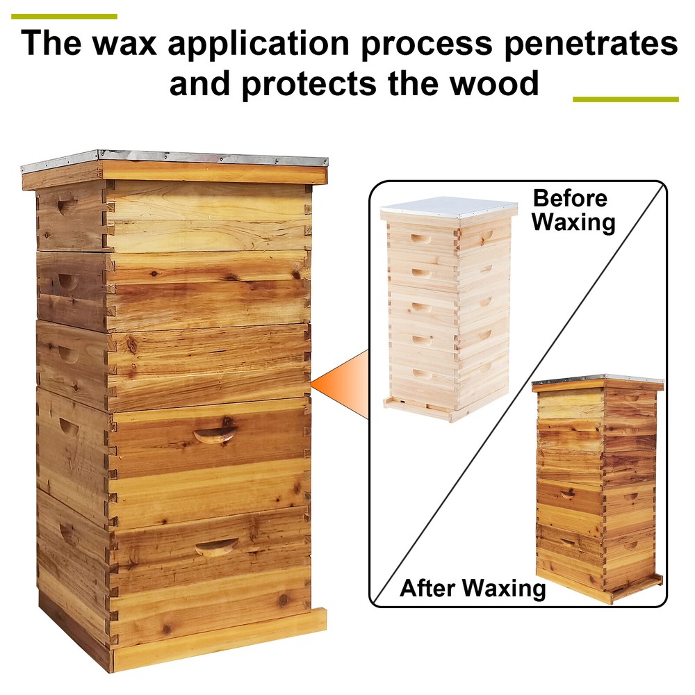 5-Layer Langstroth Bee Hive Beginner-Friendly Beehive Starter Kit