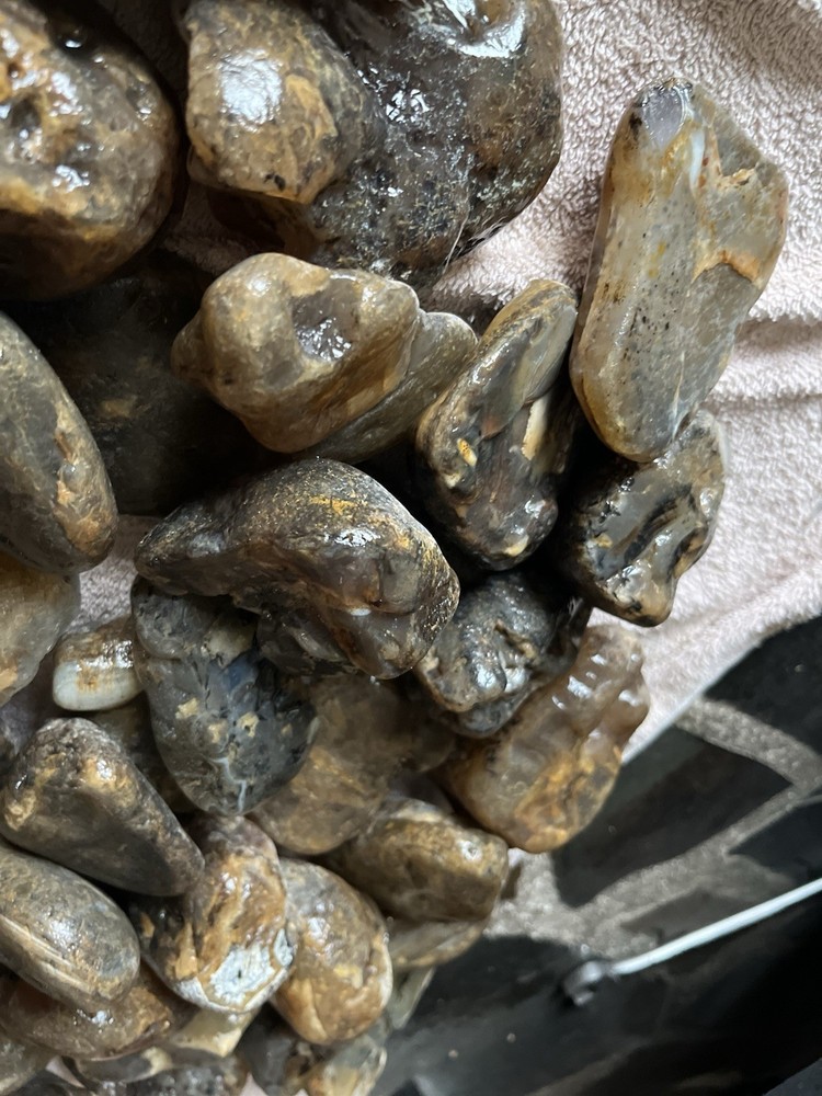 30 Lbs. ￼Rough Montana Agate (48)